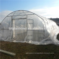 Factory direct competitive price polyethylene film for cover greenhouse